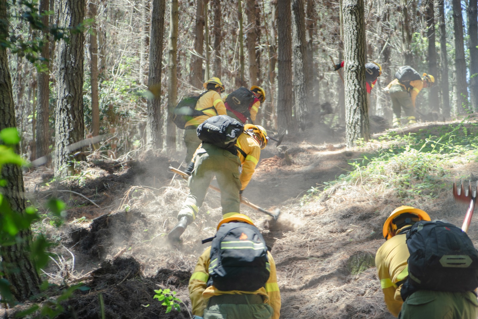 Llaman a prevenir incendios de cara a la ola de calor pronosticada desde este miércoles hasta el fin de semana 