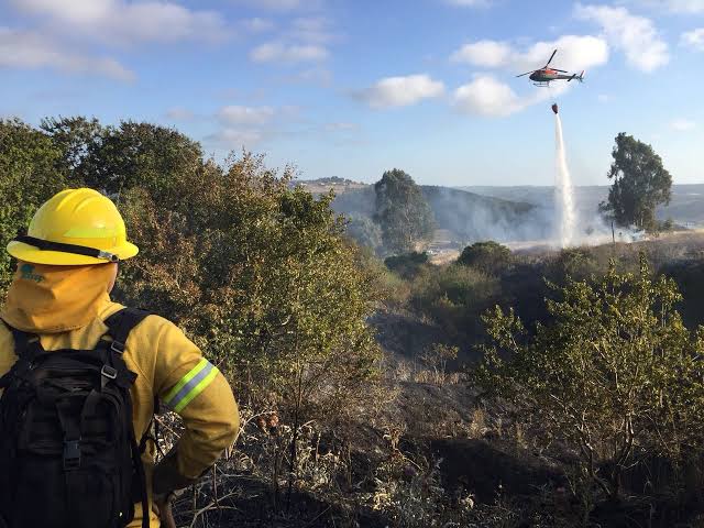 La Delegación Presidencial Regional del Biobío y CONAF, se adelantan a la temporada de Incendios Forestales.  