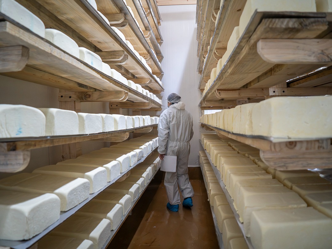 Salud prohíbe temporalmente funcionamiento para elaboración de productos en Lácteos Matthei por reiterados muestreos positivos a Listeria monocytogenes