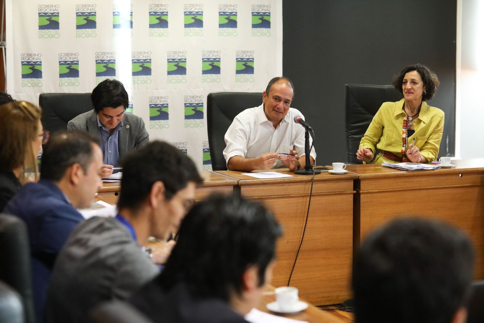 Gobernador Díaz se reúne con delegación de la ONU por emergencia de incendios forestales