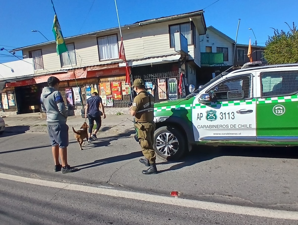 Nacimiento: Carabineros detuvo a 4 personas en ronda extraordinaria con más de 370 fiscalizaciones