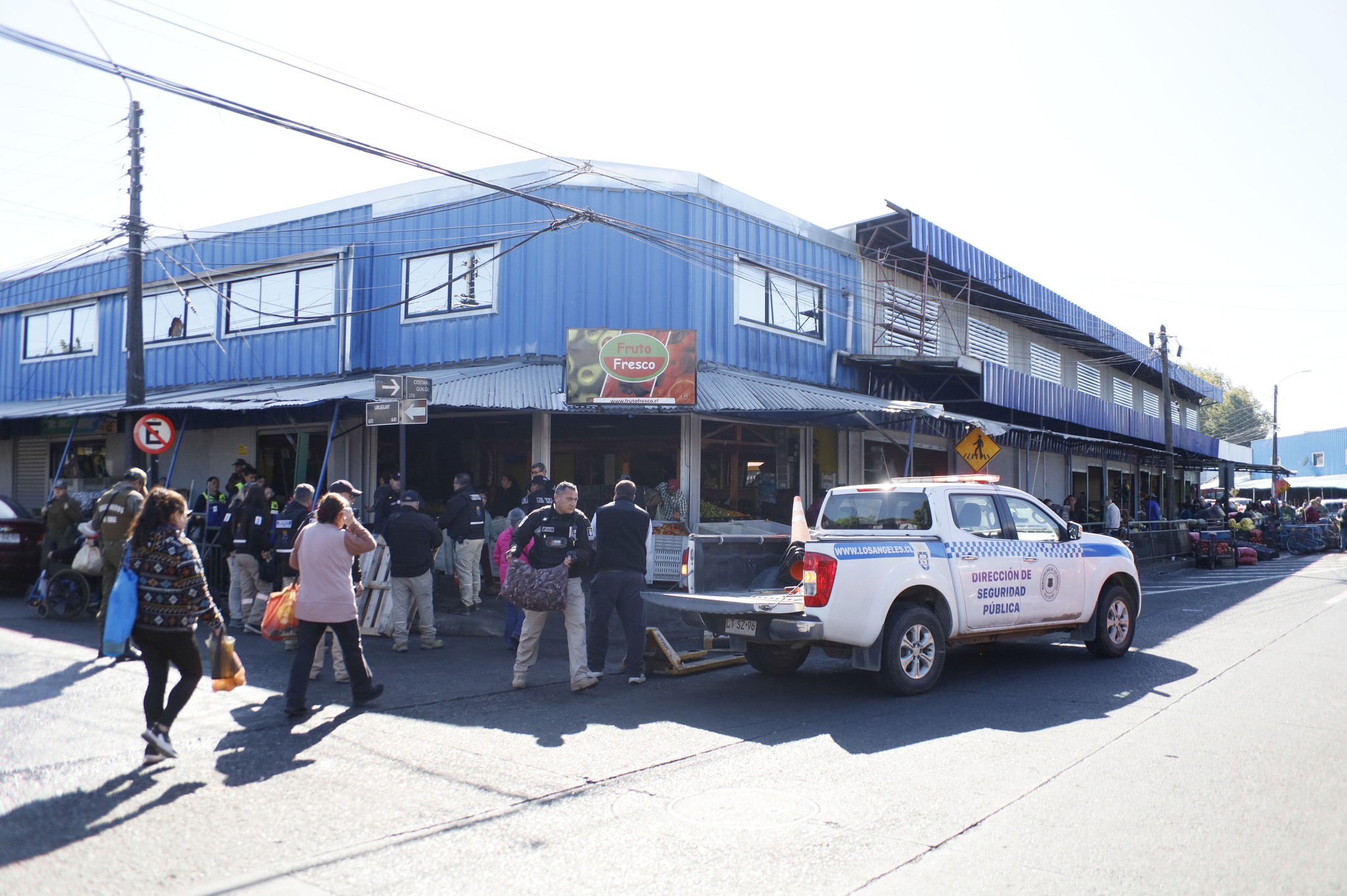 Más de 400 kilos de Mariscos fueron incautados en operativo en la Vega de Los Ángeles