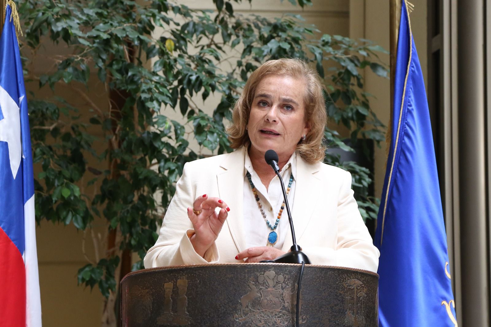 Diputada Flor Weisse valora primera Cuenta Pública del Presidente José Antonio Kast: “Se ha puesto el foco en las verdaderas urgencias de los chilenos”.
