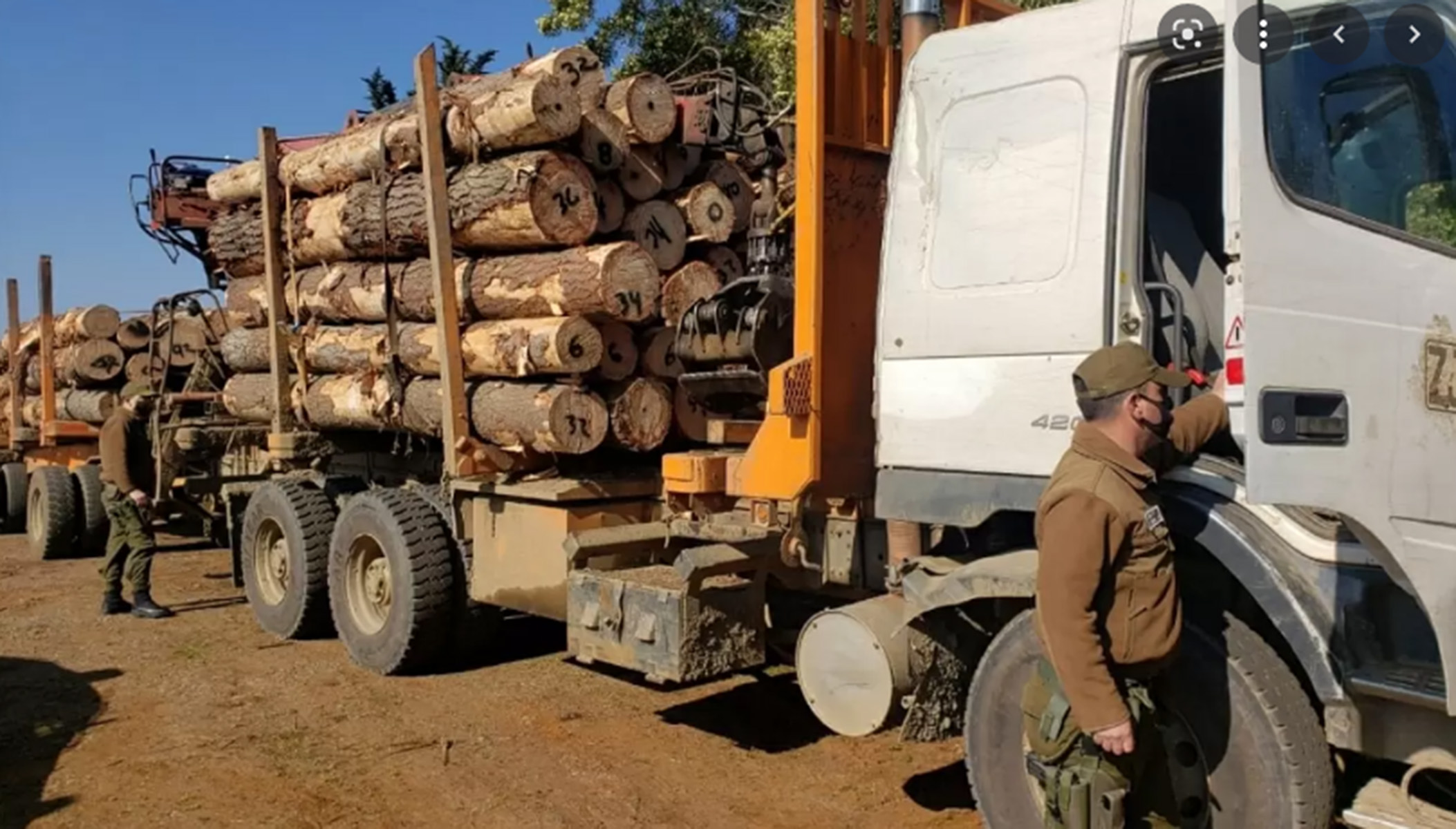 Diputado Aedo presidirá la comisión investigadora del robo de madera en la Macrozona Sur