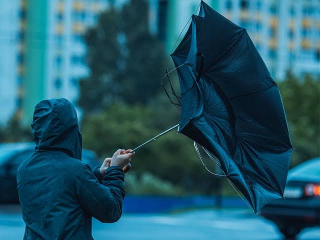 Rachas de hasta 100 km/h: activan Alerta Temprana Preventiva en el Biobío por intenso viento