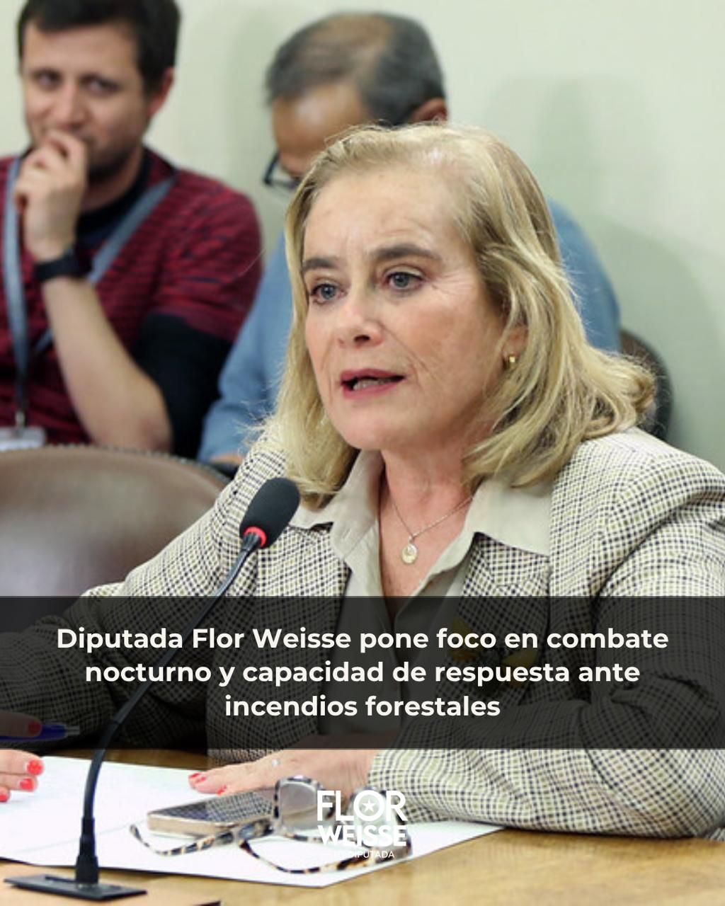 Diputada Flor Weisse pone foco en combate nocturno y capacidad de respuesta ante incendios forestales