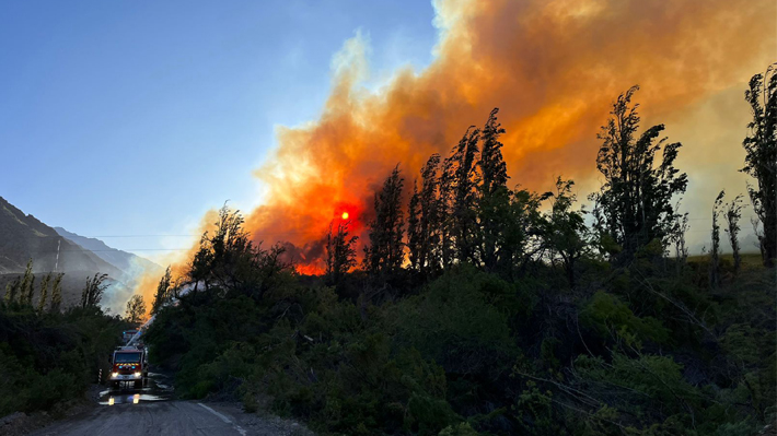 Evacúan sectores en Santa Juana y Nacimiento por peligro ante incendios forestales