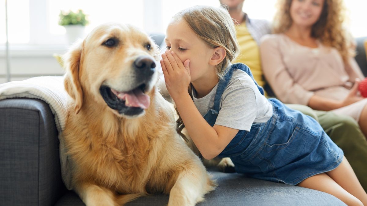 ¿Le hablas a tu mascota como si fuera humano? La ciencia explica por qué lo haces y por qué está bien