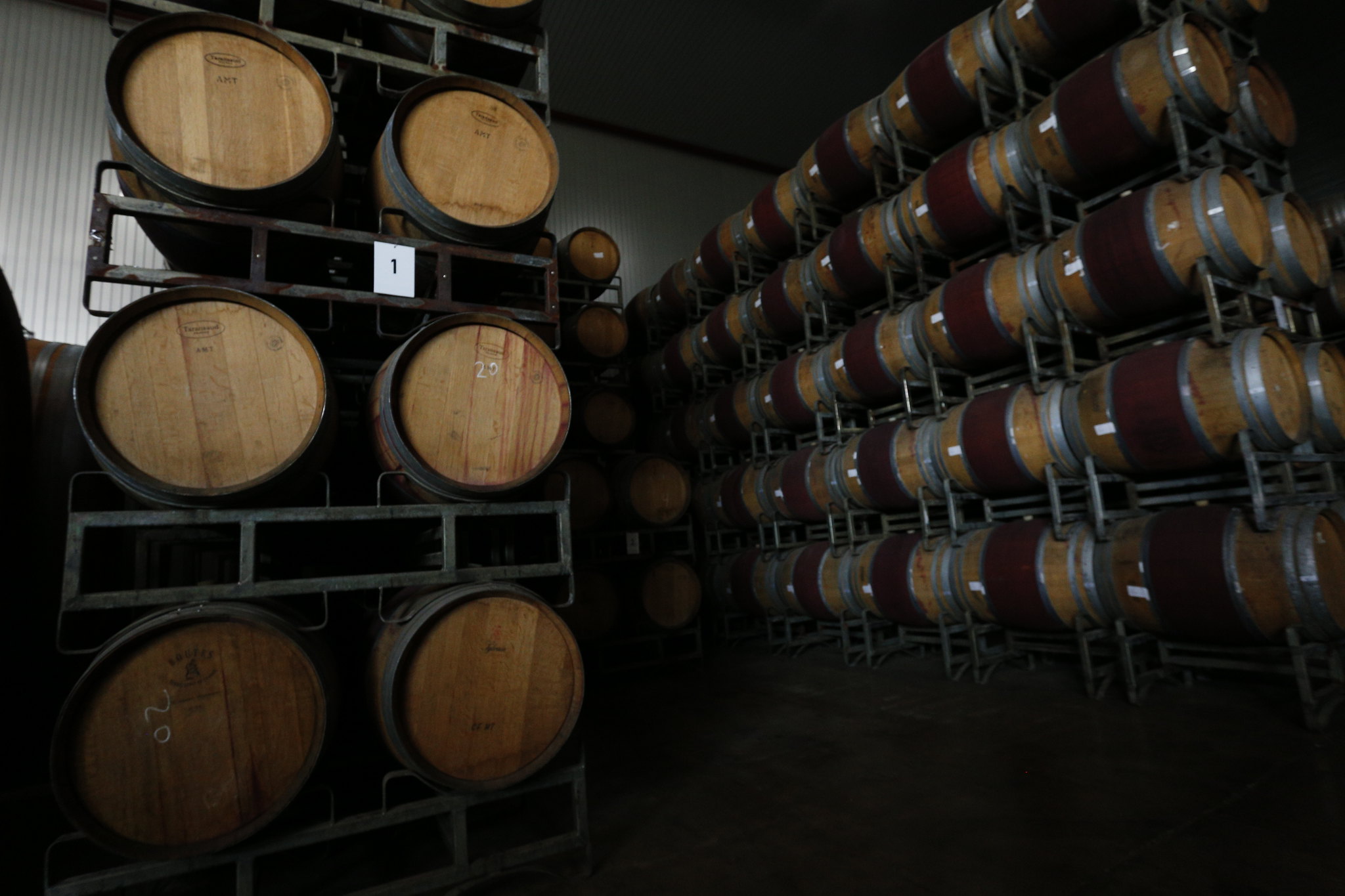 Producción de vinos 2021 subió 29,9%