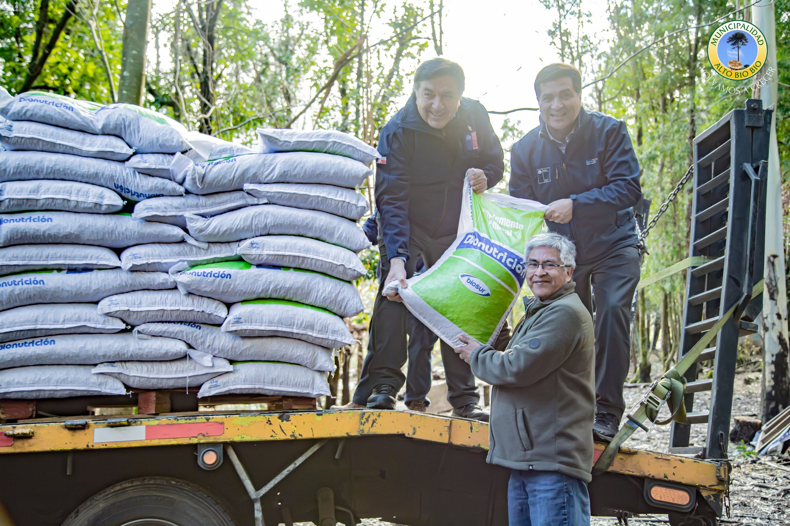 Autoridades inician entrega de 300 toneladas de alimento a ganaderos afectados por nevazones en Alto Biobío