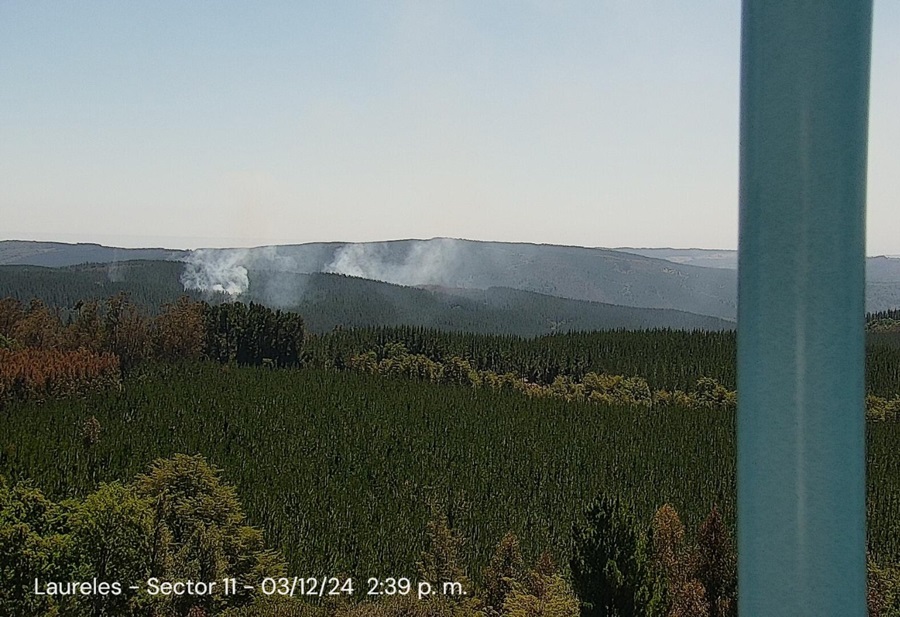 CORMA alerta preocupante aumento de incendios forestales, multifocos e intencionalidad
