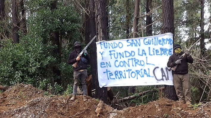 CAM inicia "proceso de recuperación territorial" y asegura haber ocupado dos predios forestales en Carahue