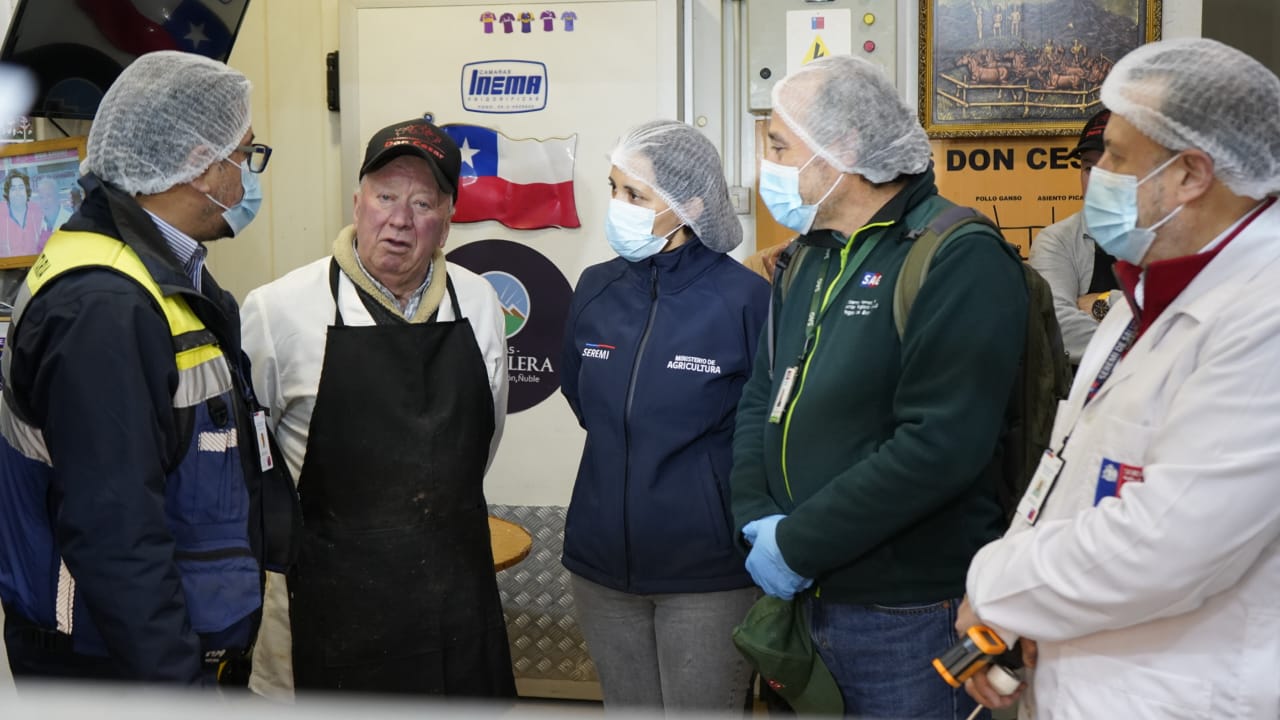 Fiscalizan productos cárnicos previo a celebración de Fiestas Patrias en Biobío