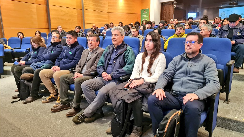 CONAF busca fomentar la arborización urbana para mitigar efectos del cambio climático en la región