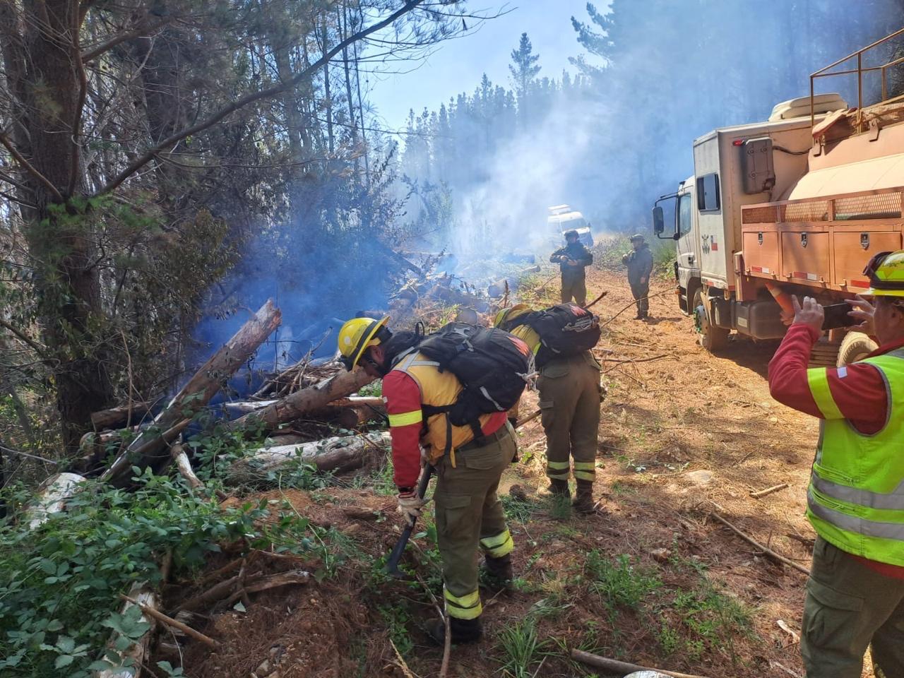 La totalidad de las aeronaves de CMPC combatió hoy ocho incendios en tres regiones del país 