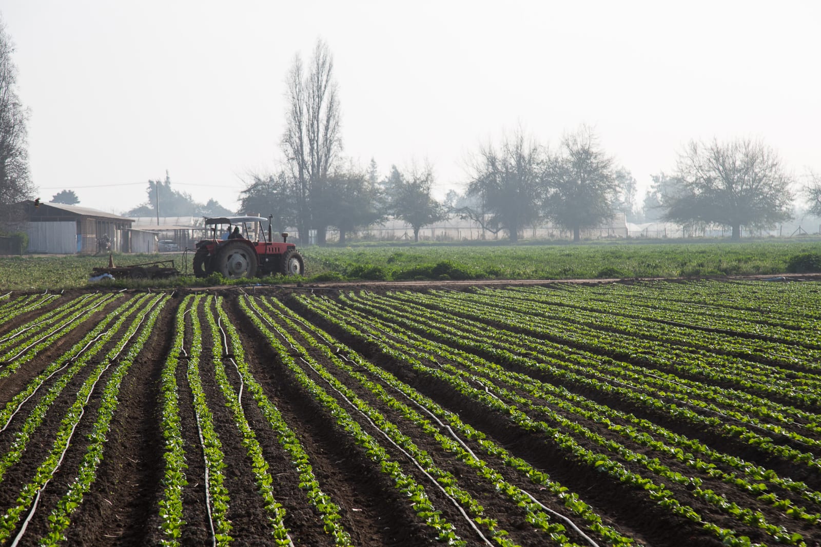 INDAP llama a agricultores del Biobío a postular a programa de recuperación de suelos agropecuarios