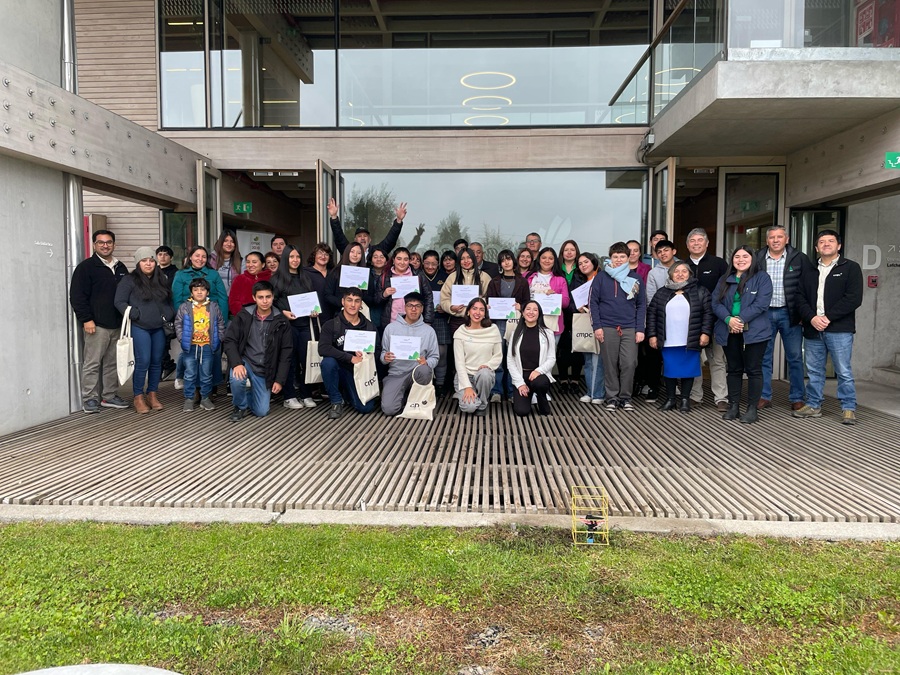 Estudiantes del Biobío comienzan su camino a la universidad gracias al Preuniversitario Online – Becas de Excelencia Académica CMPC