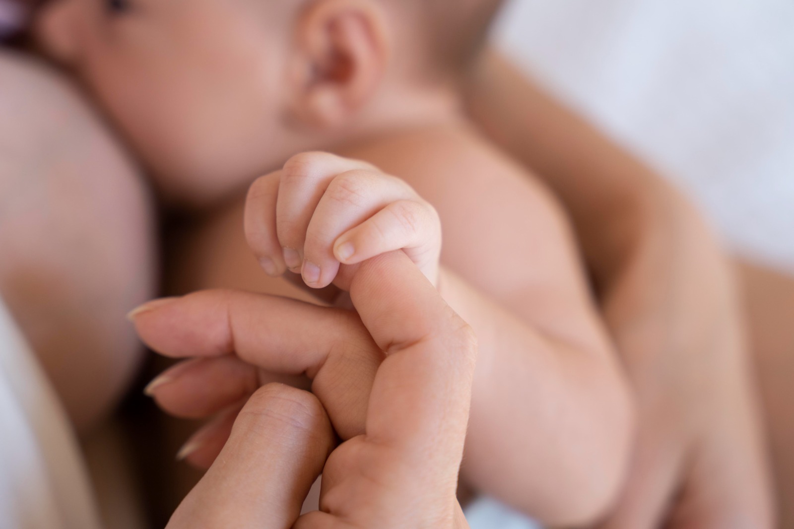 Exitosa jornada de capacitación de lactancia materna, realizó la Seremi de Salud Biobío 