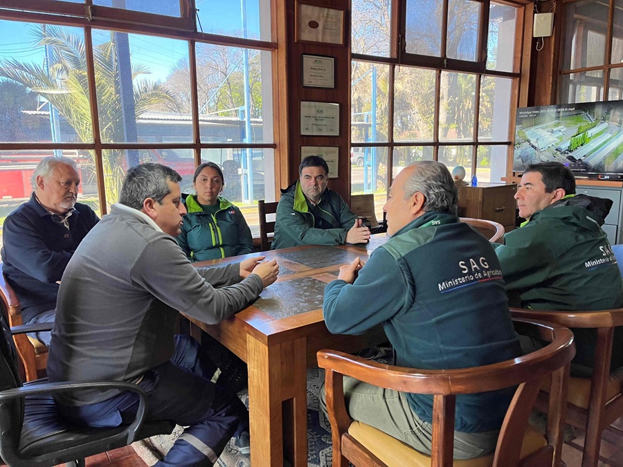 SAG Biobío llama a planteles avícolas industriales a reforzar sus medidas de bioseguridad
