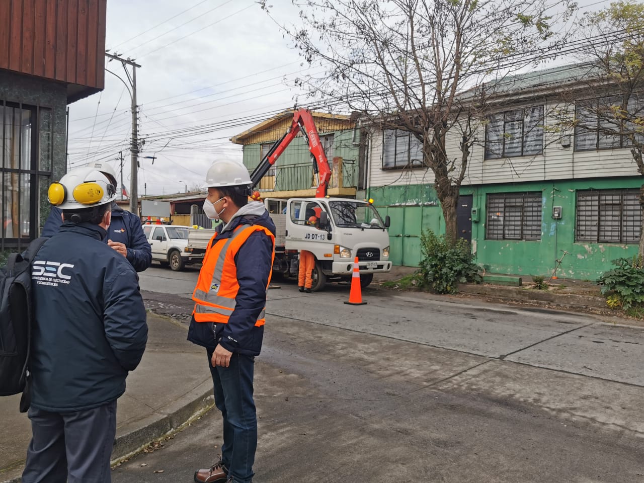 SEC Biobío encabeza fiscalización de poda de árboles para evitar cortes de luz 