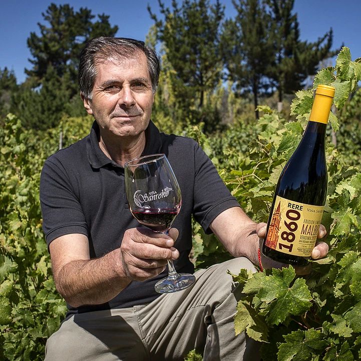 Viñas campesinas de la región del Biobío se tomarán Concepción en la “Feria del Vino 2025”