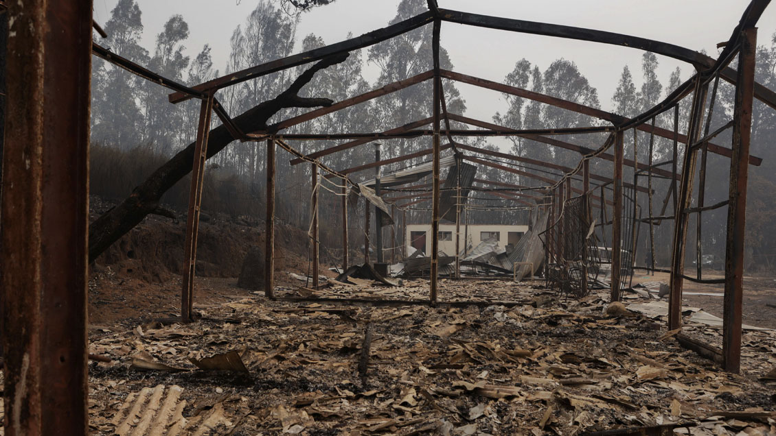 "Plan de recuperación": Las 13 ayudas del Gobierno a los afectados por los incendios