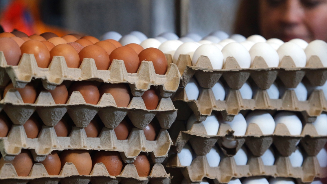 Gobierno proyecta que precio de los huevos bajará en Primavera