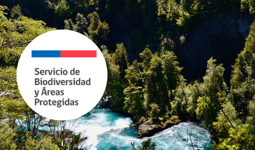 Nuevo debate por Ley SBAP: proyecto limita declaratorias de sitios prioritarios sin reglamento