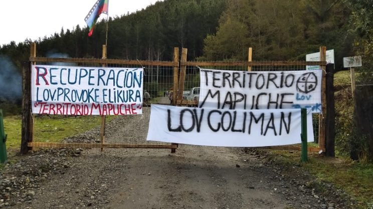 Multigremial de La Araucanía revela informe de causas de usurpación entre 2018 y 2021: Sólo una terminó con condena