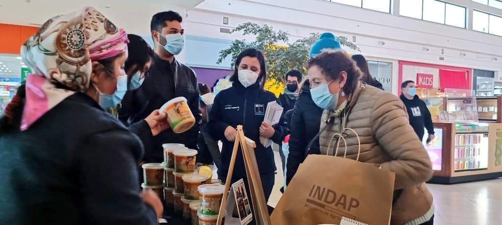 Apicultores lograron éxito de ventas tras Mercado Campesino de la Miel en Biobío 