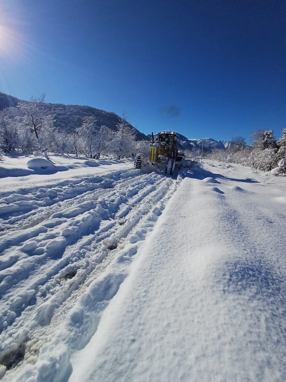 MOP Biobío despliega operativo permanente de despeje de nieve en rutas cordilleranas de Alto Biobío y Antuco