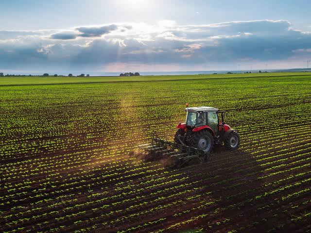 El agro chileno se consolida como activo estratégico: las claves detrás del creciente interés inversor en 2026