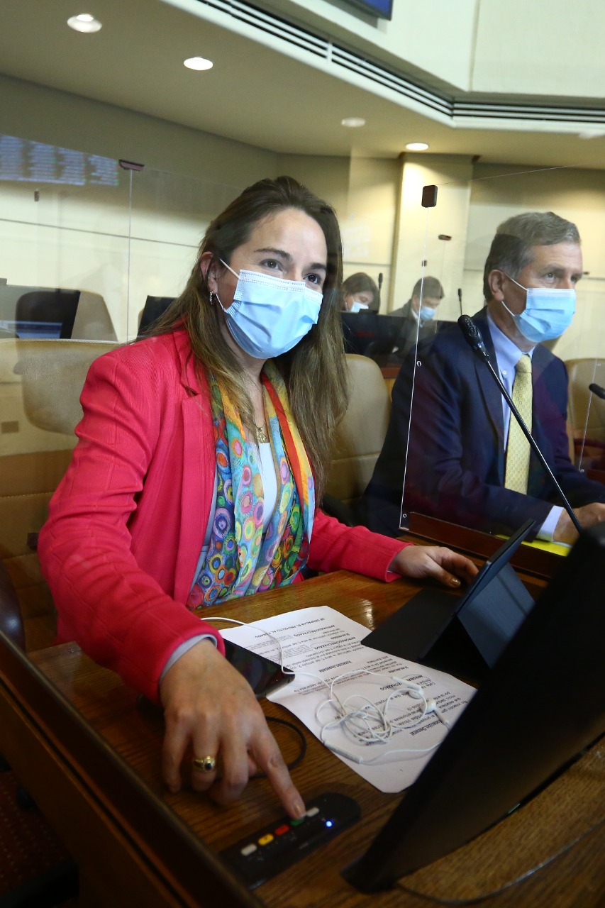 Tras insistencia de diputada Joanna Pérez se inicia tramitación de proyecto de ley que regula la construcción de complejos de aerogeneradores