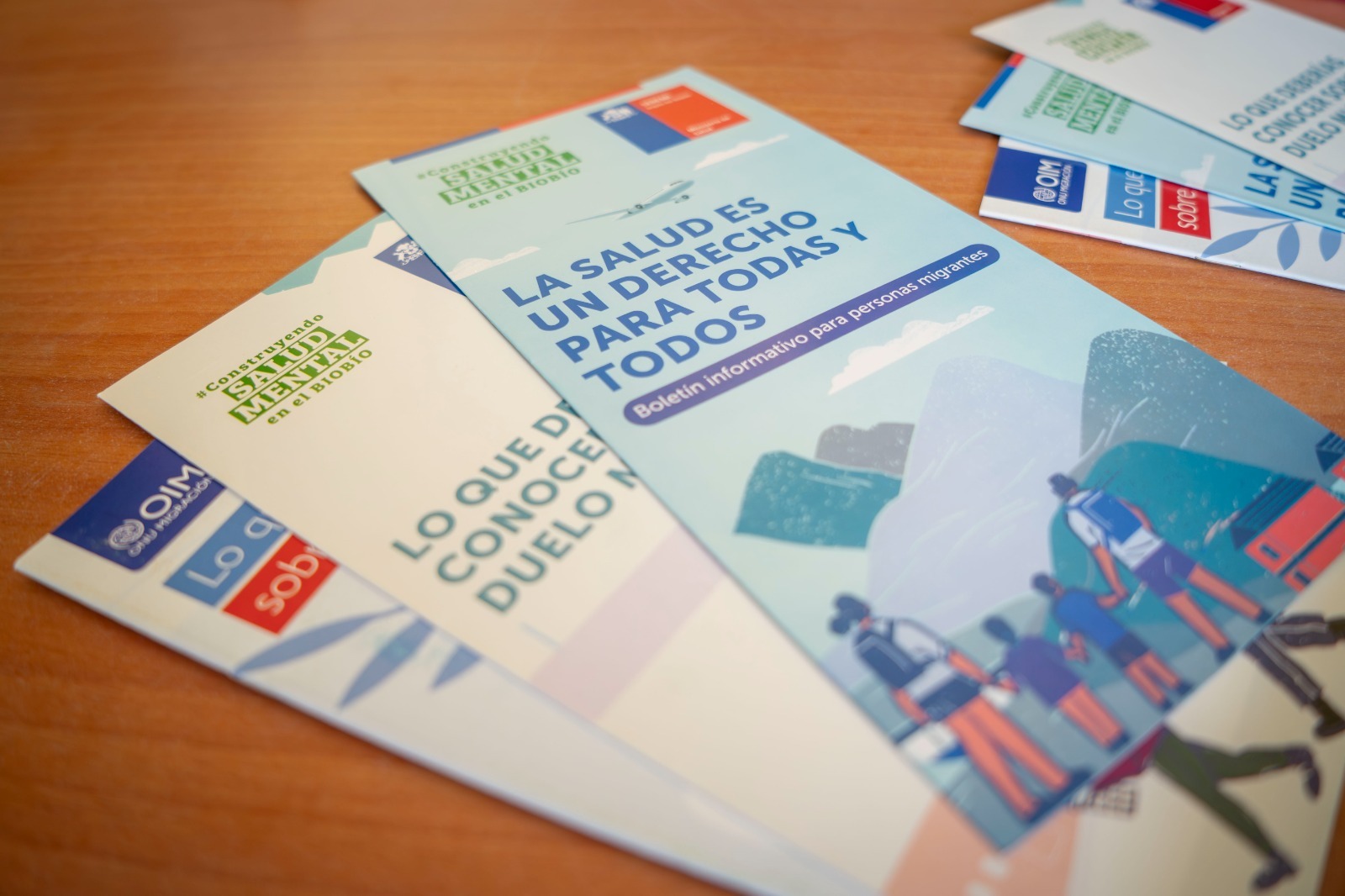 Sector Público participó de Seminario sobre Migración y Pertinencia Cultural 