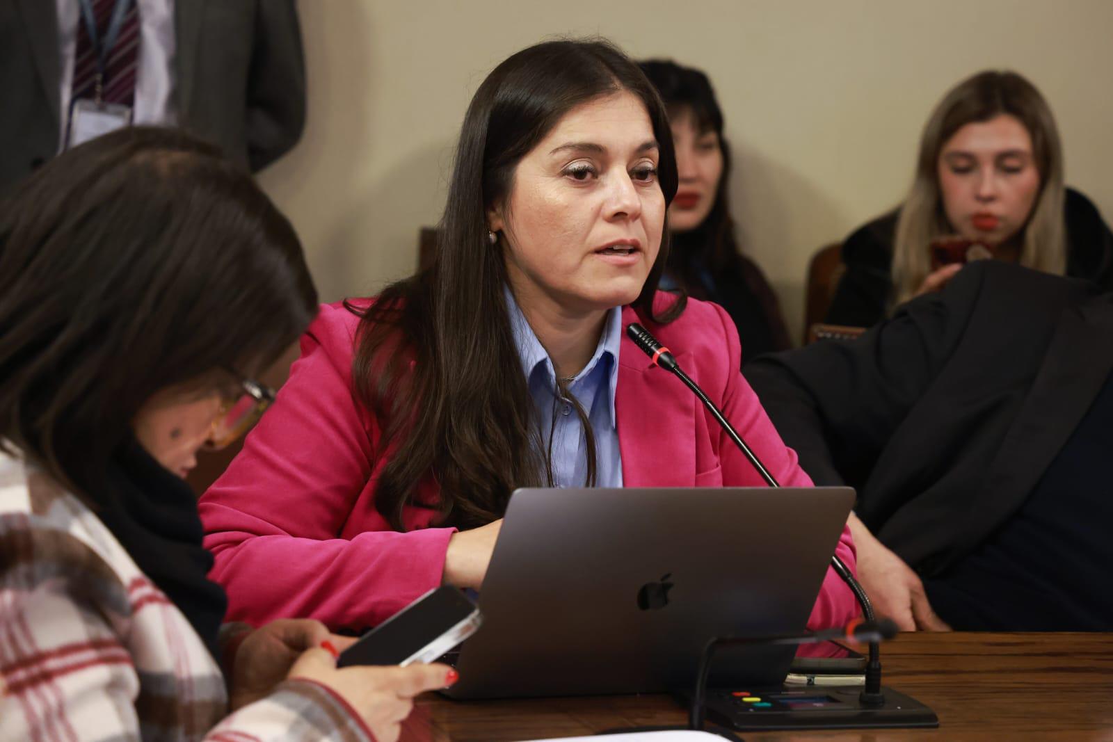 Diputada Karen Medina exige renuncia de directora del Serviu tras suicidio de vecino en San Rosendo