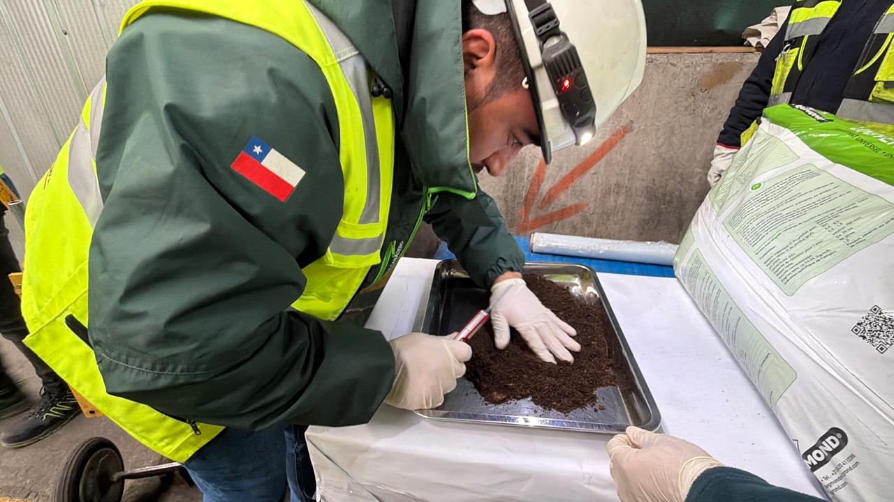 SAG aumenta inspecciones de productos silvoagropecuarios en puertos de Biobío