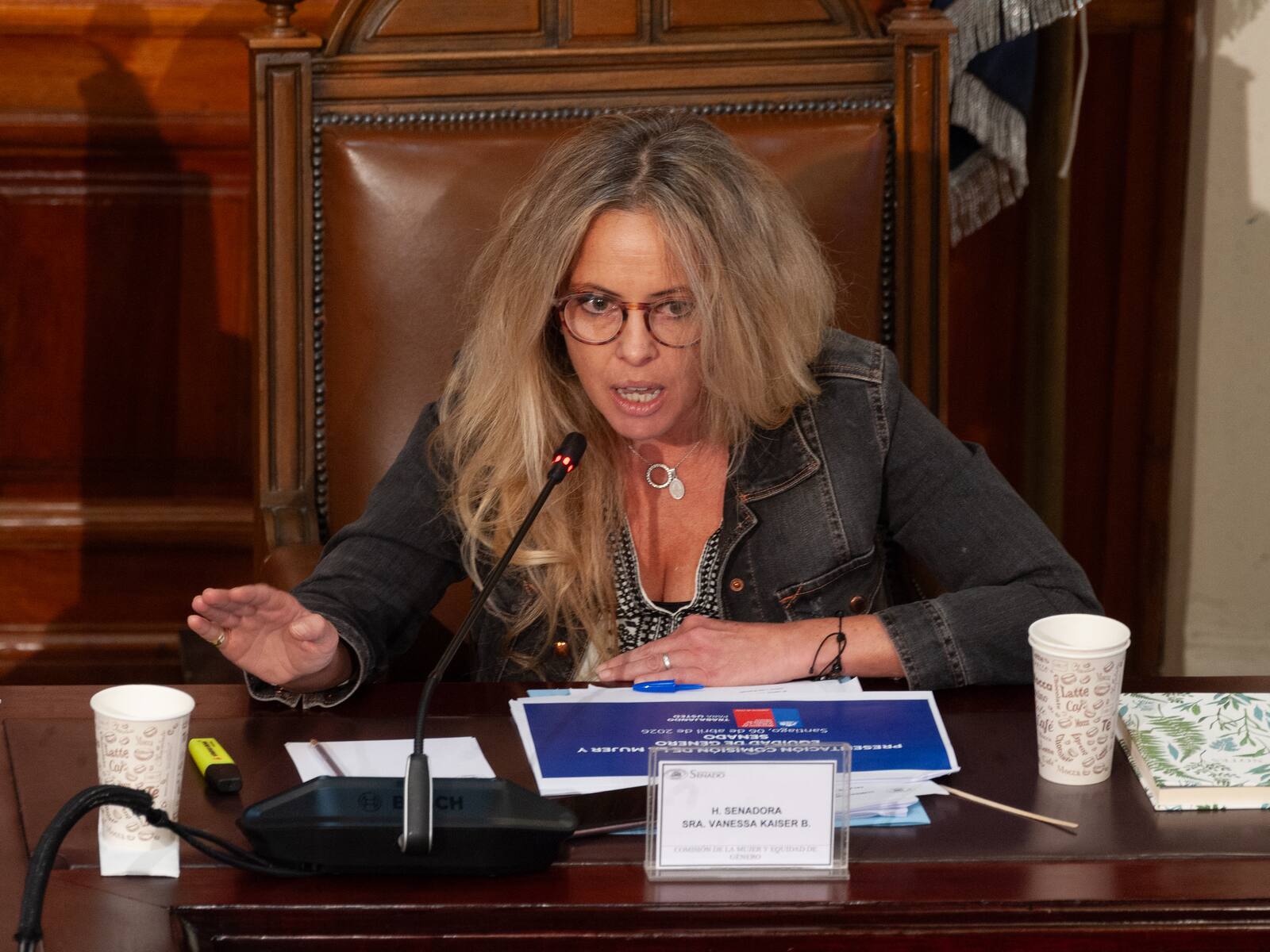 Senadora Kaiser insistirá en el proyecto "Escucha su corazón" tras el portazo del Presidente Kast