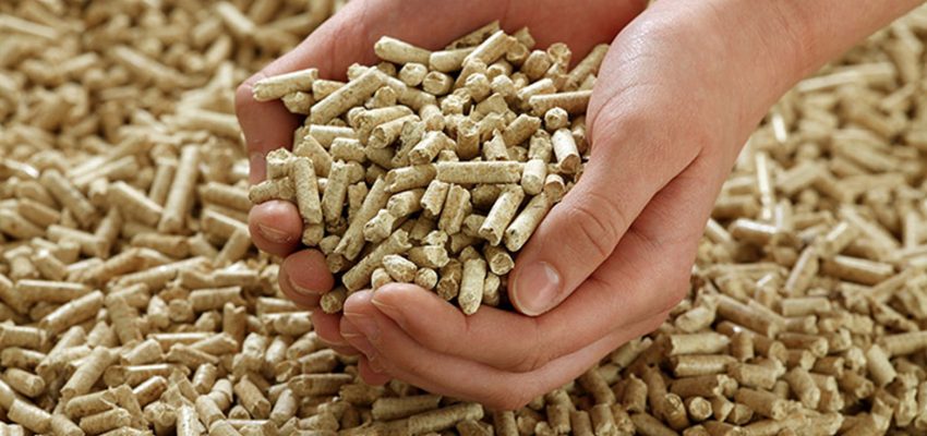 Industria de pellet asegura stock en Biobío ante mayor demanda por bajas temperaturas