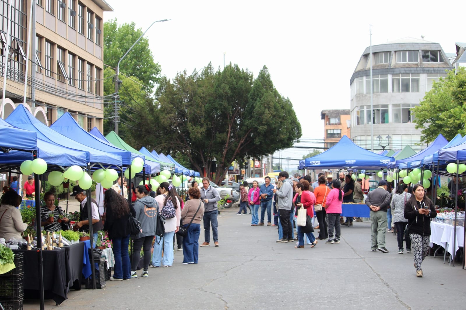 47 encuentros agrícolas se desarrollaron en primer año de la “Feria Campesina Biobío” en Los Ángeles