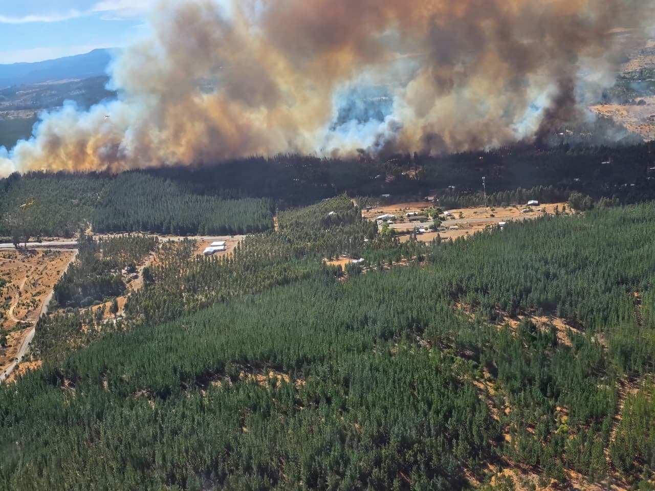 Con amplios recursos, CMPC enfrenta incendios iniciados esta tarde en Cauquenes y Cholchol