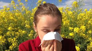 Virus respiratorios mantienen positividad superior al 50 %: prevalece influenza en plena primavera