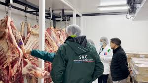 Paro del Servicio Agrícola y Ganadero (SAG) sacude a la ganadería chilena