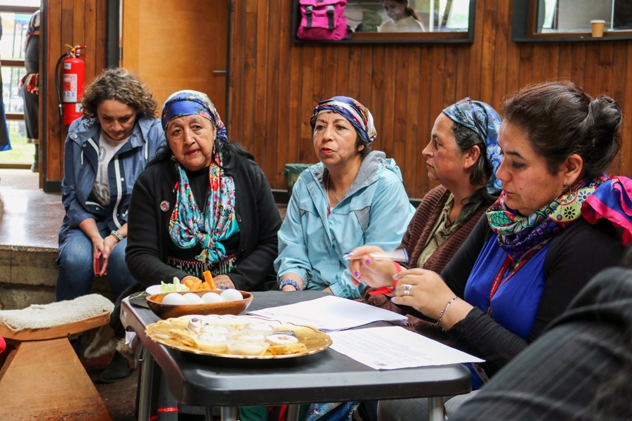 Finaliza con éxito el último Trawün de diagnóstico "Mujeres y sus Realidades Regionales" del Plan Buen Vivir y el Ministerio de la Mujer