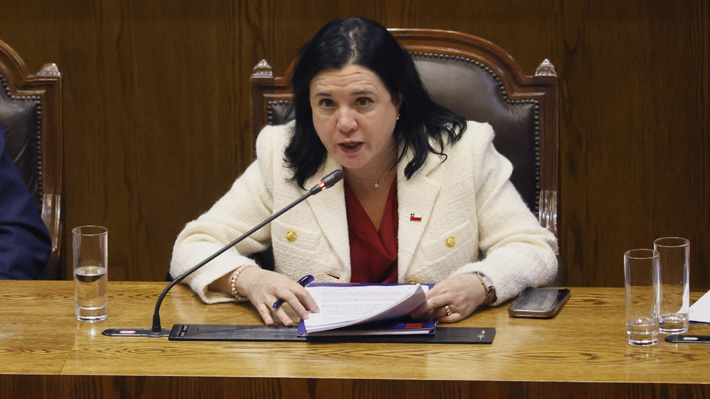 Control territorial y fortalecimiento institucional: Los ejes del Plan de Seguridad que detalló Steinert  