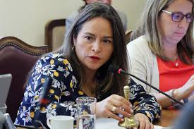 Diputada Joanna Pérez emplaza a Ministro de Energía para regular Complejos Eólicos en Biobío