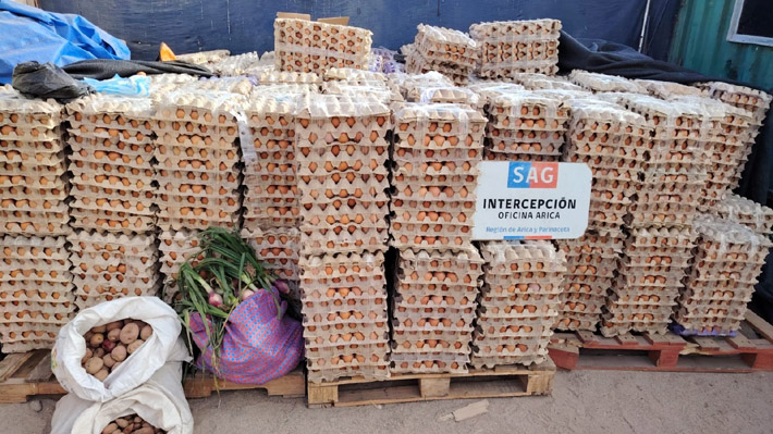 Huevos clandestinos: El particular (y creciente) contrabando desde Bolivia que inquieta al agro chileno  