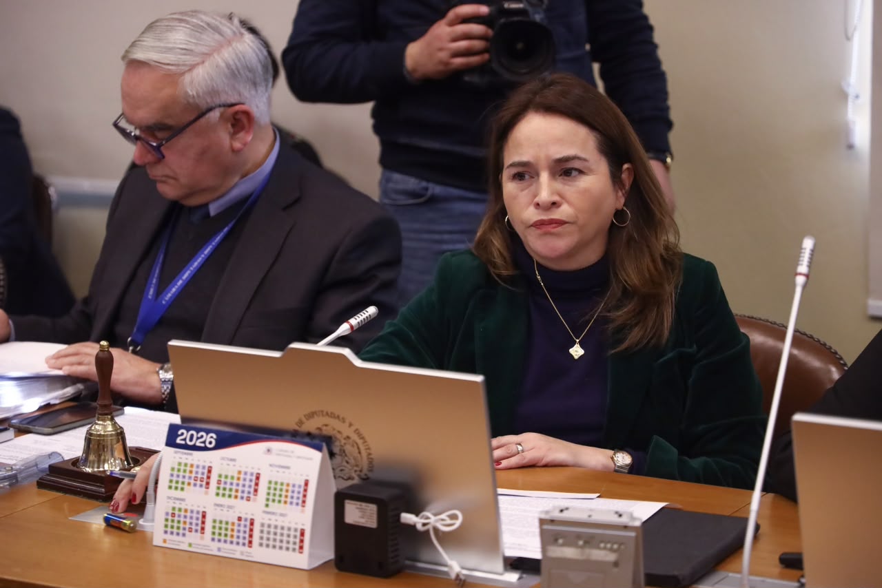 Diputada Joanna Pérez pide acelerar ayudas para Alto Biobío tras sistema frontal: “El Estado tiene que reaccionar mucho más rápido”