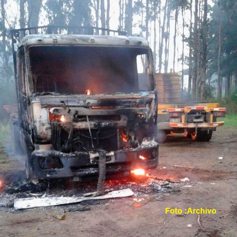Nuevo atentado incendiario: Sujetos cortan rutas con árboles y atacan vehículos y maquinaria forestal en Alto Biobío