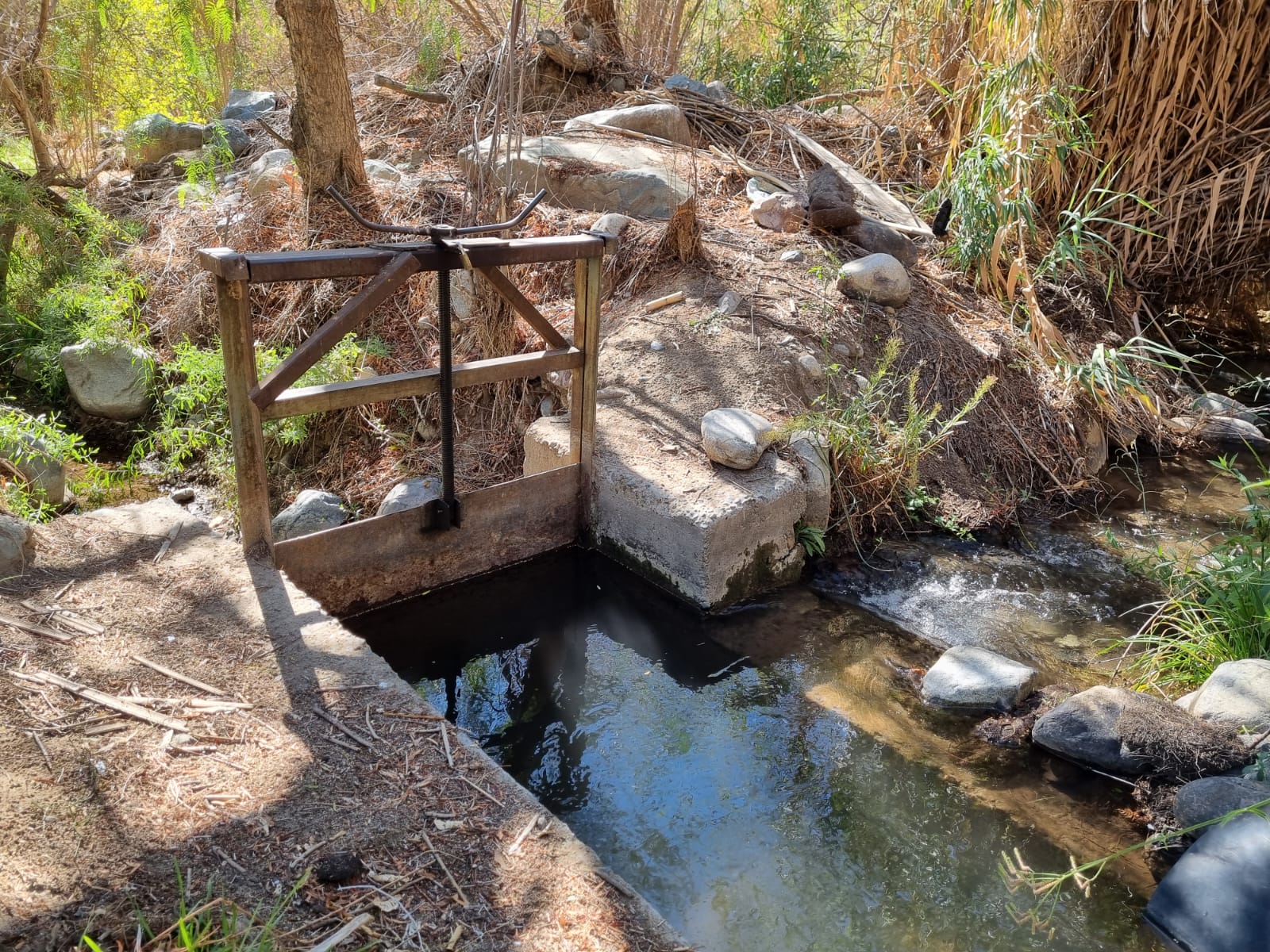 Dirección General de Aguas Ordena el Cierre de Bocatomas en la Región del Biobío 