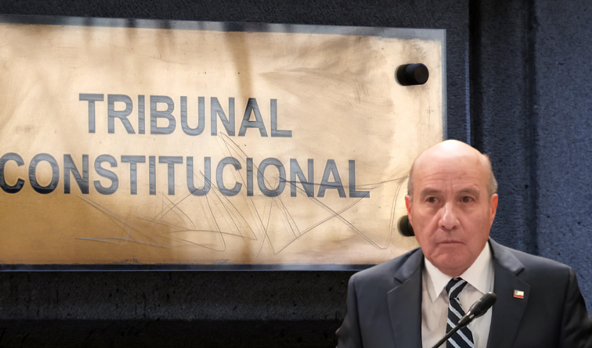 Fallo del TC en megarreforma es valorado como una victoria por agrupaciones ambientales